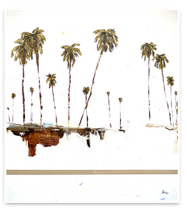 Steve Adam Palm Trees