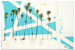 Load image into Gallery viewer, #0551 Prints
