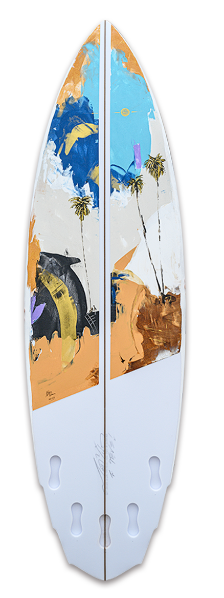 Steve Adam / Lost Surfboard
